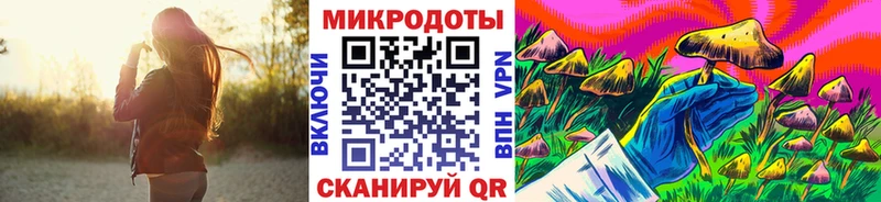 мориарти официальный сайт  Черноголовка  Псилоцибиновые грибы Magic Shrooms 