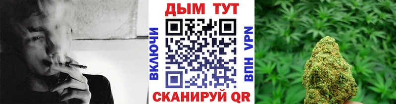 Шишки марихуана SATIVA & INDICA  купить закладку  Черноголовка 